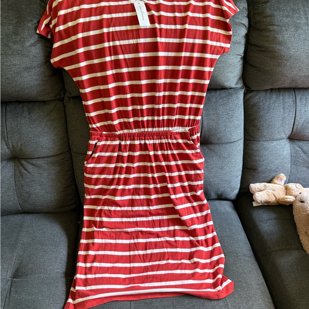 Banana Republic Red and White Striped Top